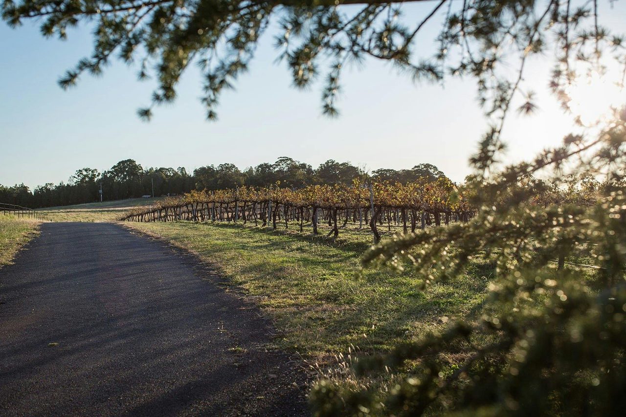 Beautiful days at Lazy Oak Wines