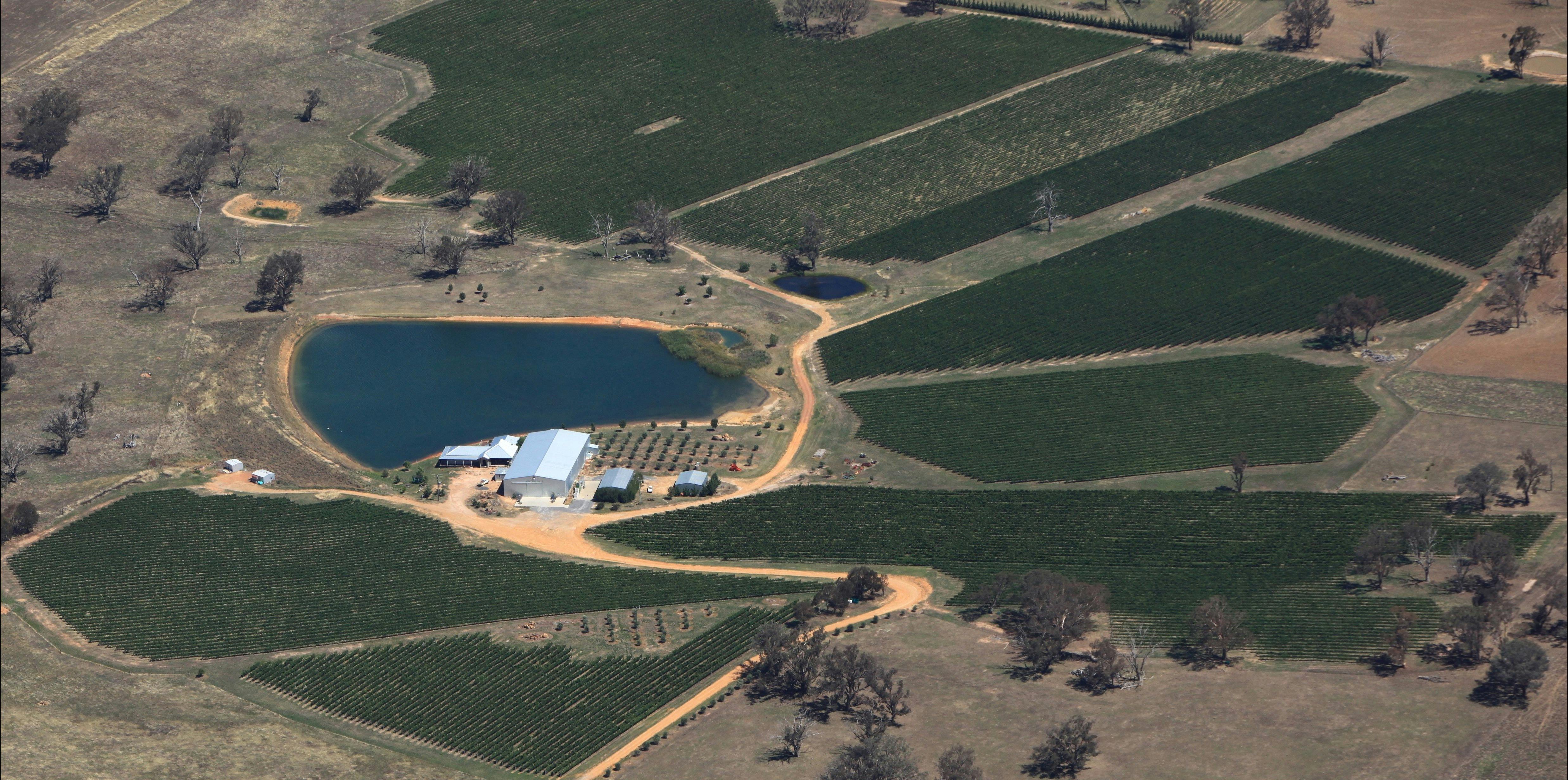 Aerial view of the vineyard