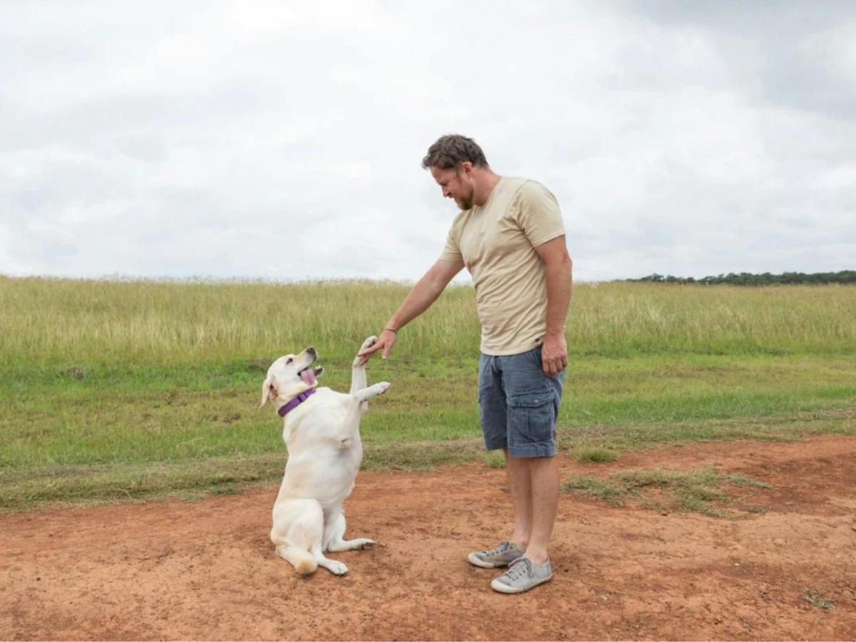 Pet friendly