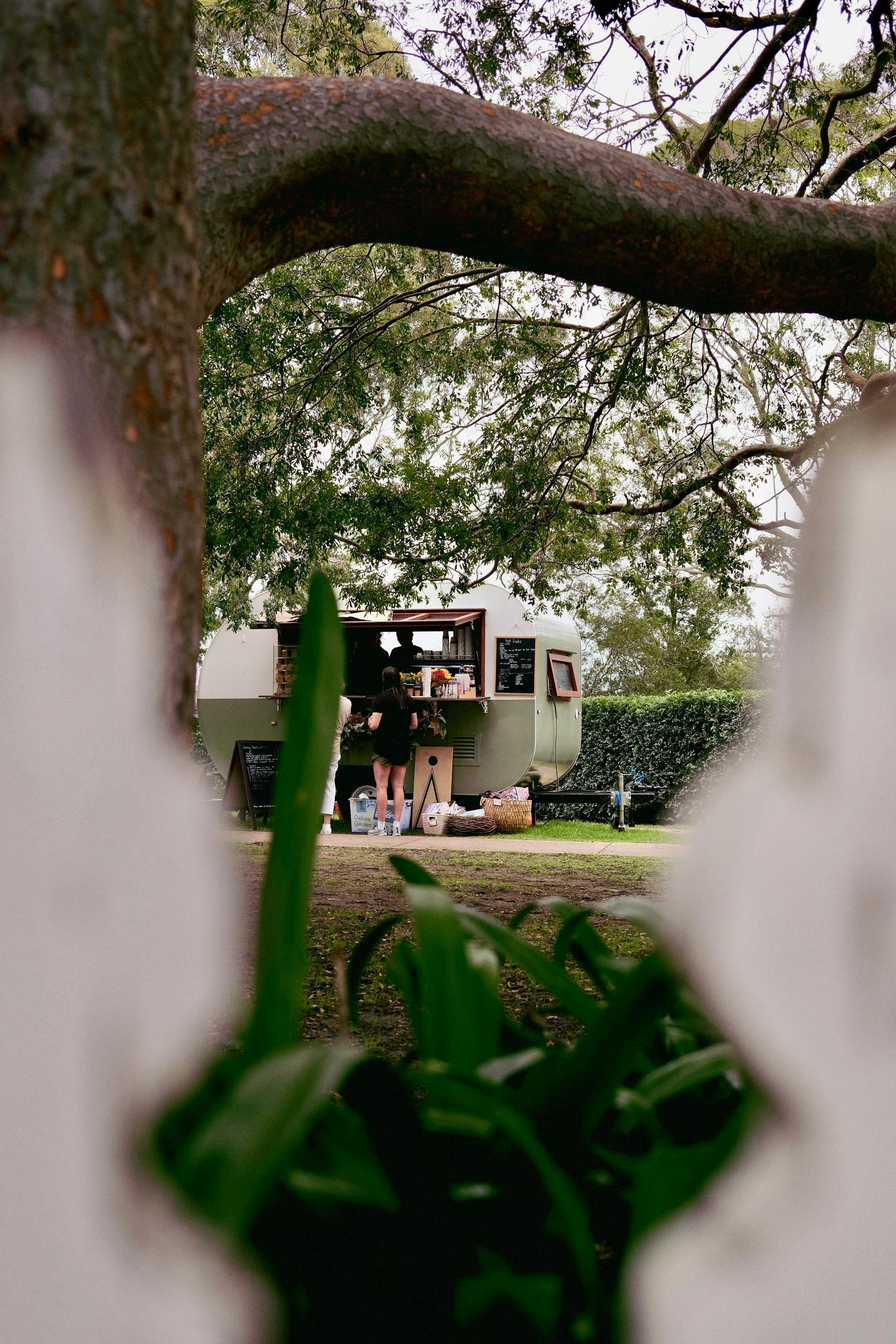 From the Picket Fence