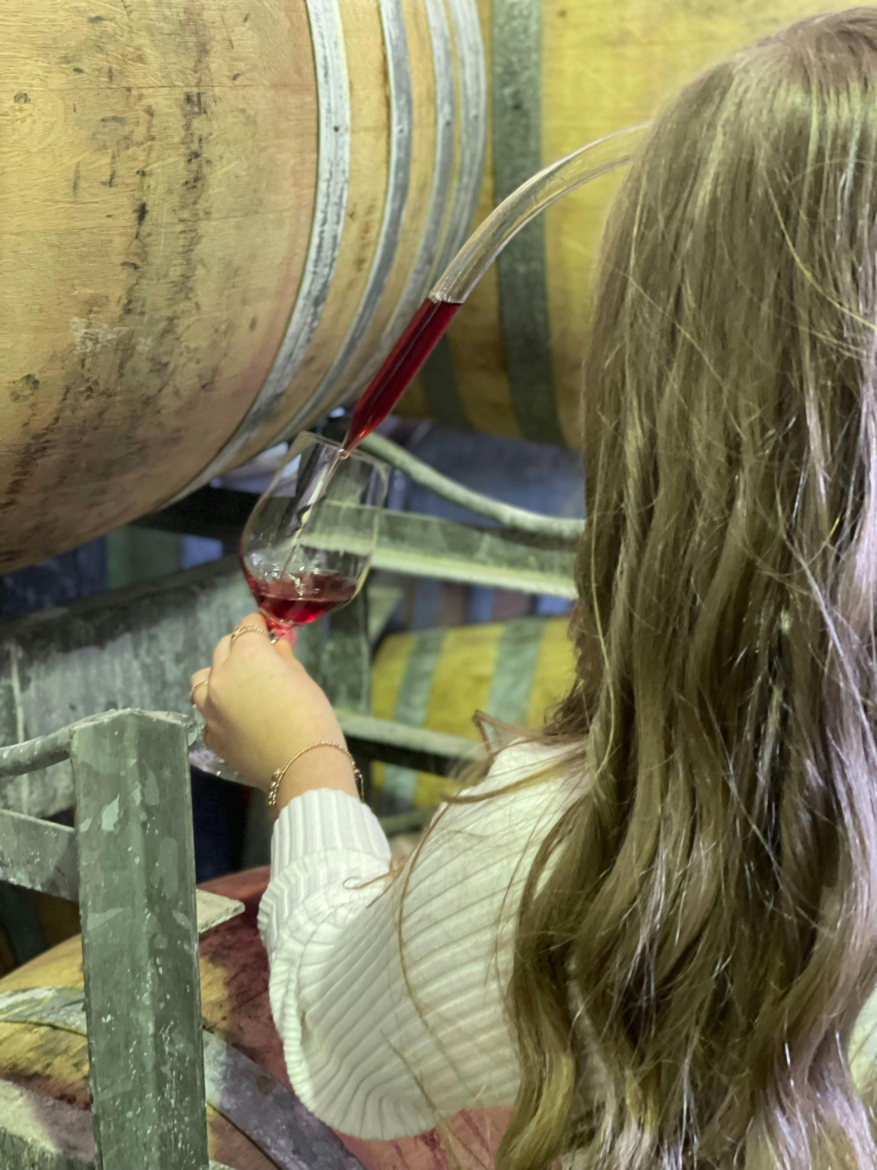 Sampling red wine from barrel