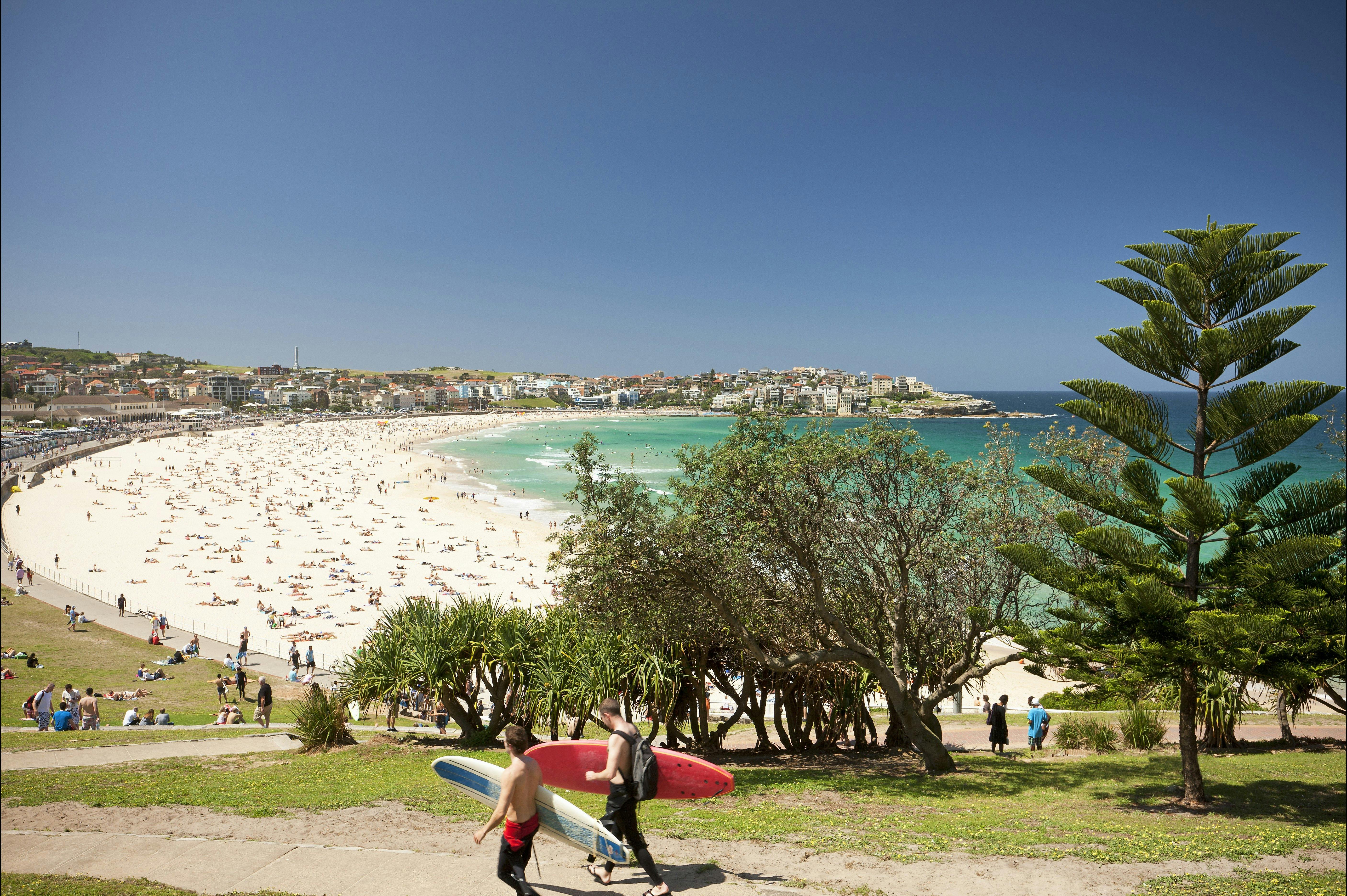 Bondi Beach