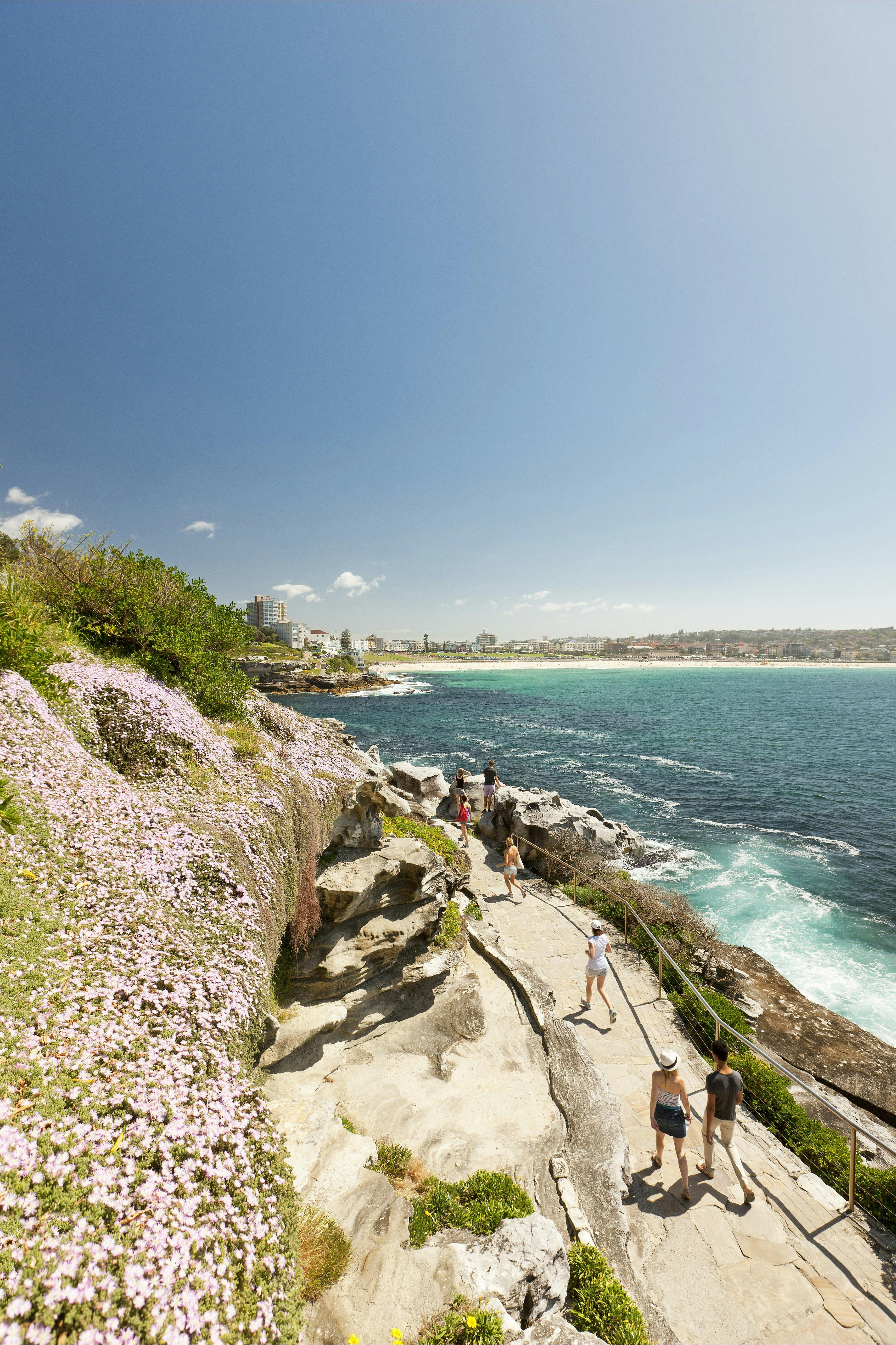 Bondi to Coogee Coastal Walk