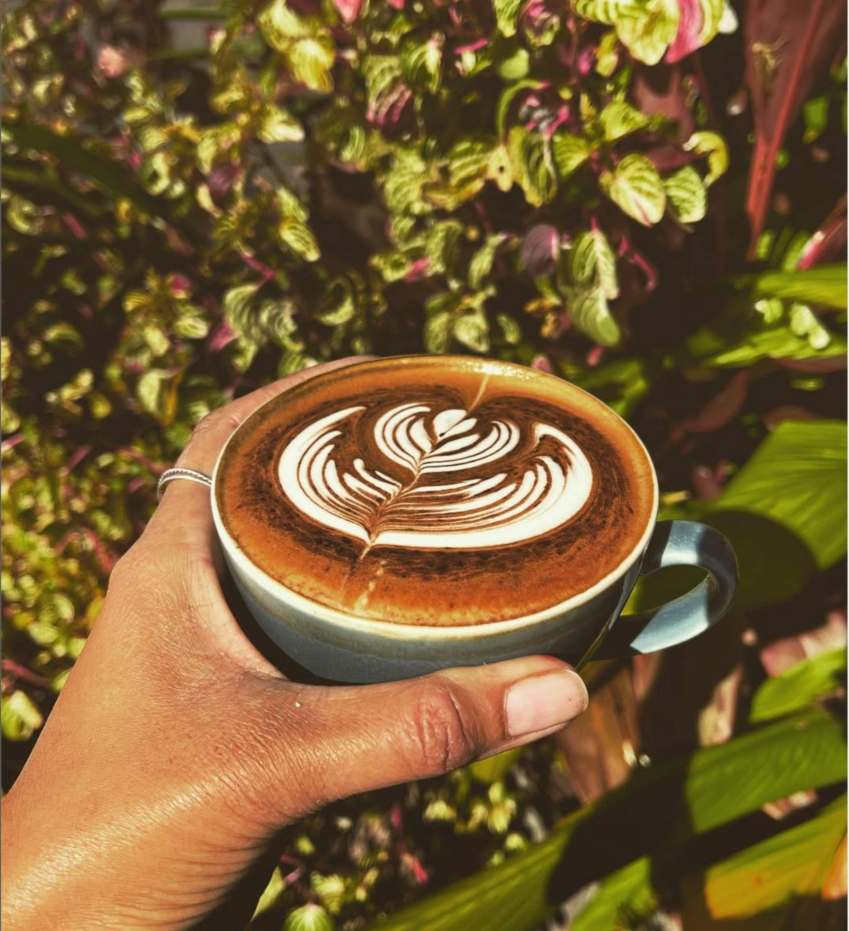 Liberty providores coffee