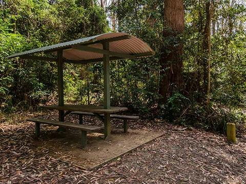 Bird Tree picnic area