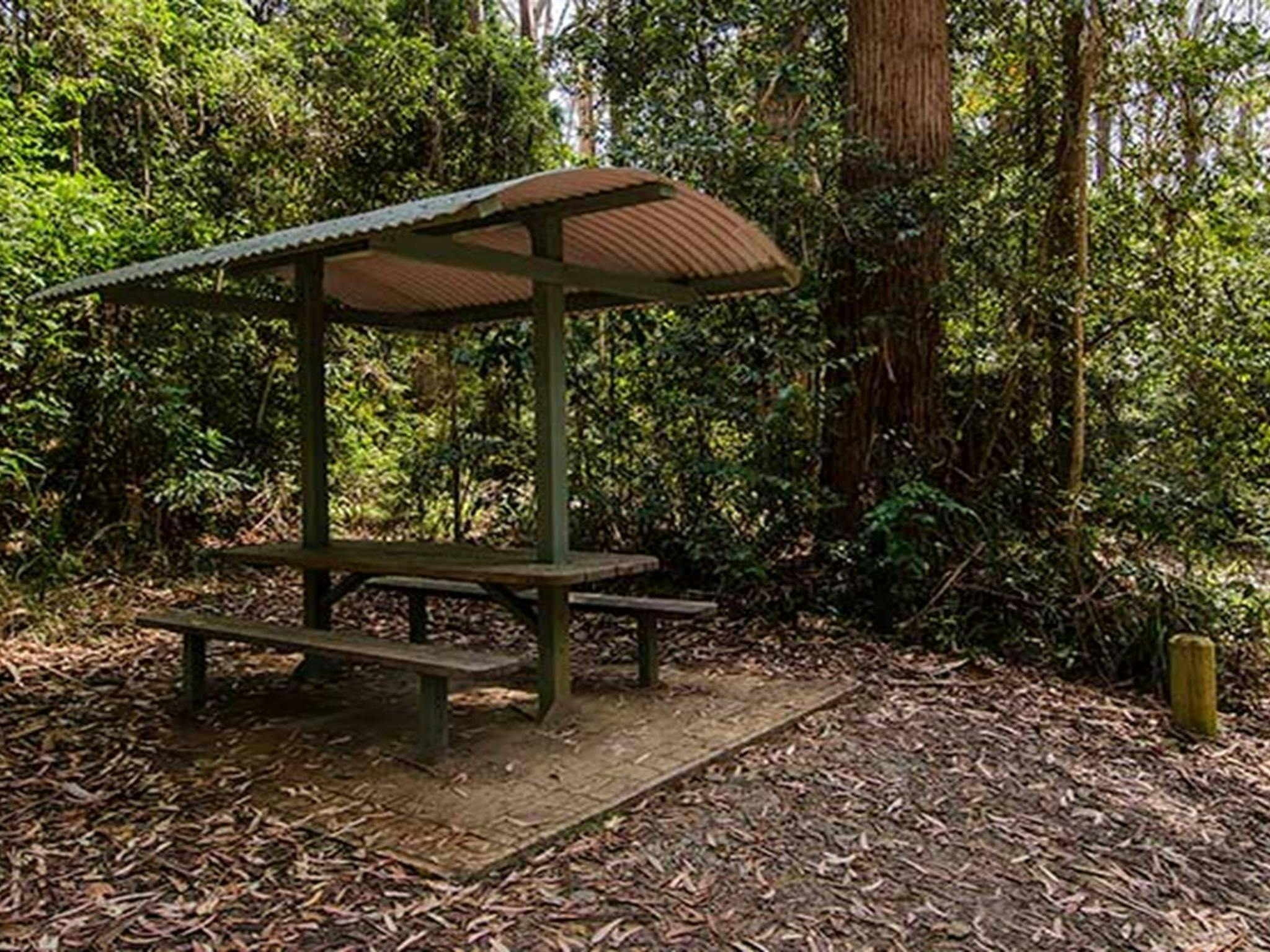 Bird Tree picnic area, Middle Brother National Park. Photo: John Spencer/NSW Government