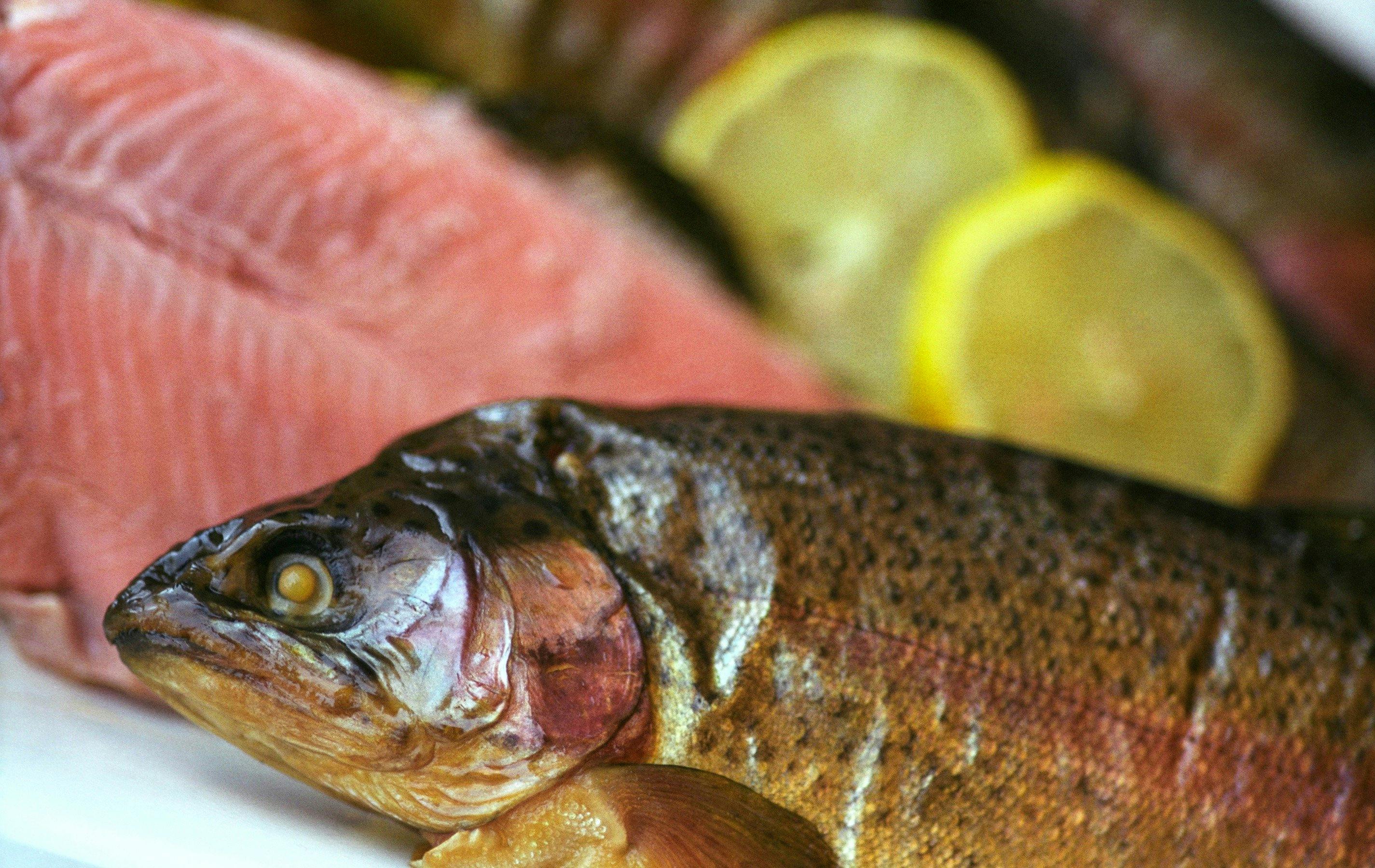 Lovedale Smokehouse Cafe