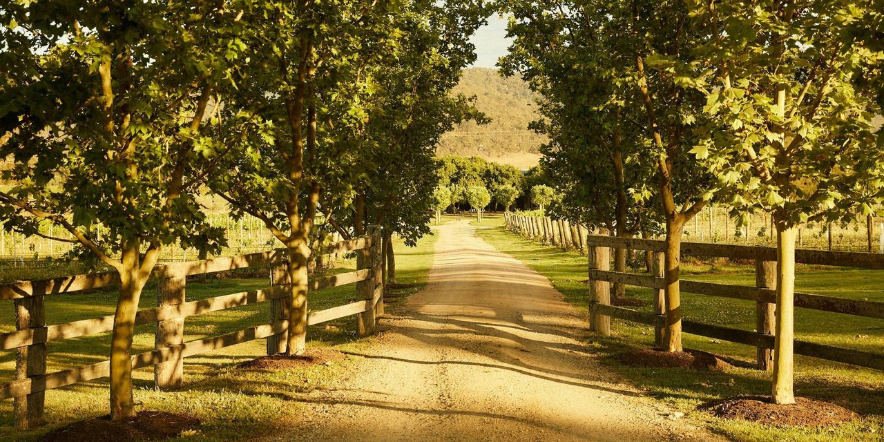 Krinklewood Biodynamic Vineyard