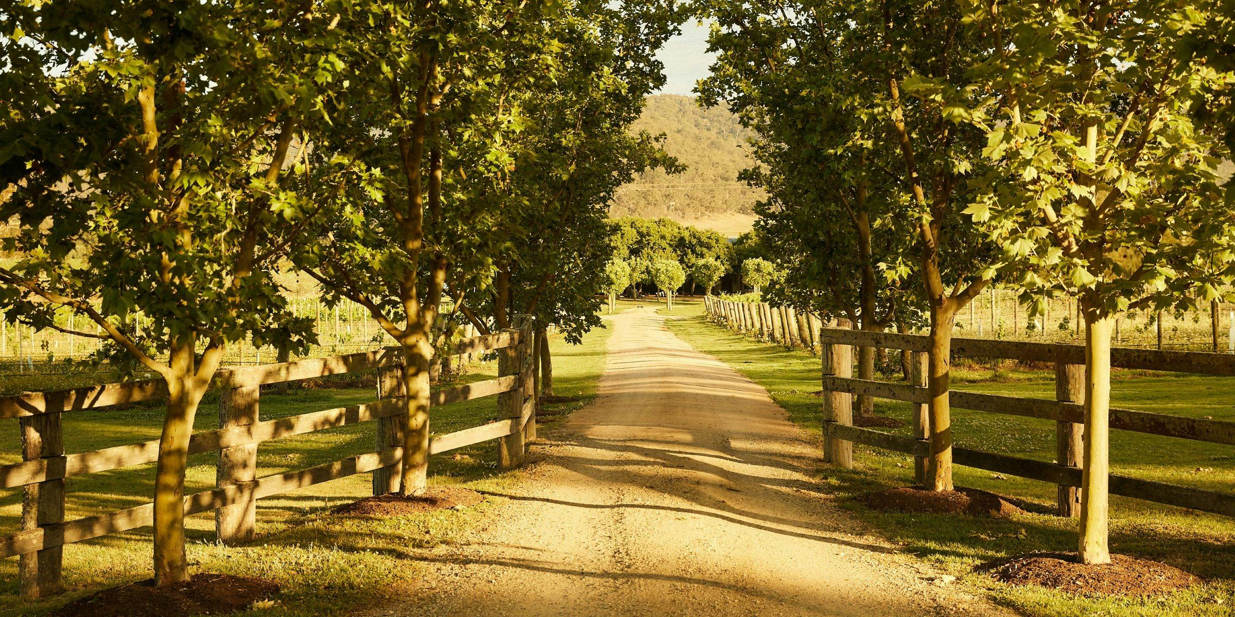 Krinklewood Biodynamic Vineyard