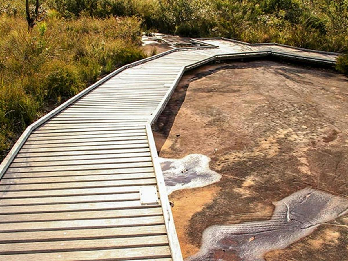 Bulgandry Art Site Aboriginal Place, Brisbane Water National Park. Photo: John Yurasek &copy; OEH