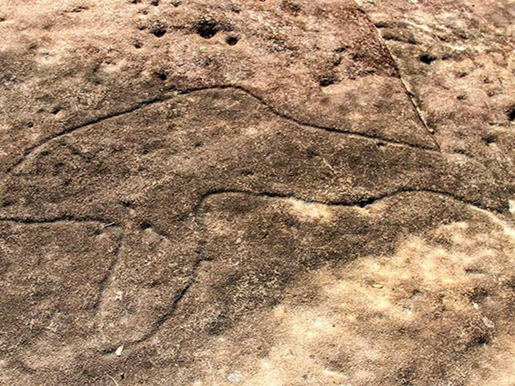 Bulgandry Art Site Aboriginal Place, Brisbane Water National Park. Photo: John Yurasek &copy; OEH