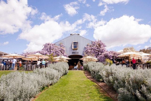 Lowe Family Wine Co