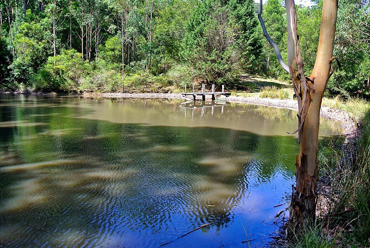 Jetty on the Dam
