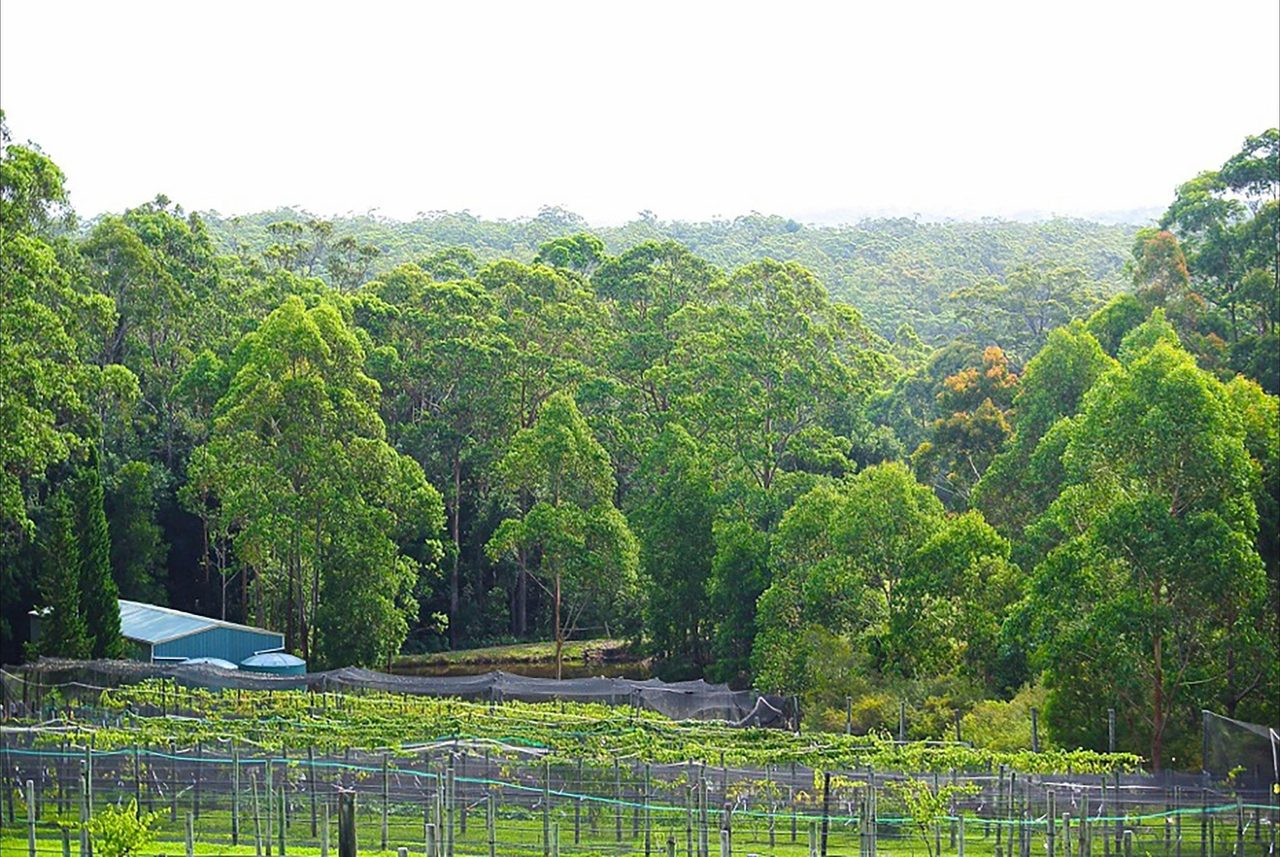 View over the property