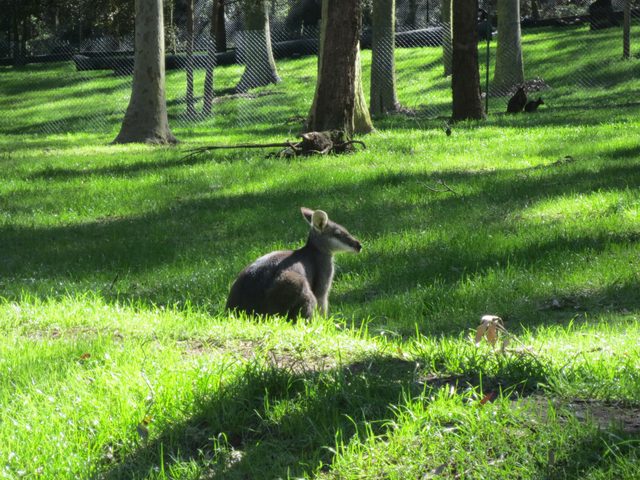 Blackbutt Reserve