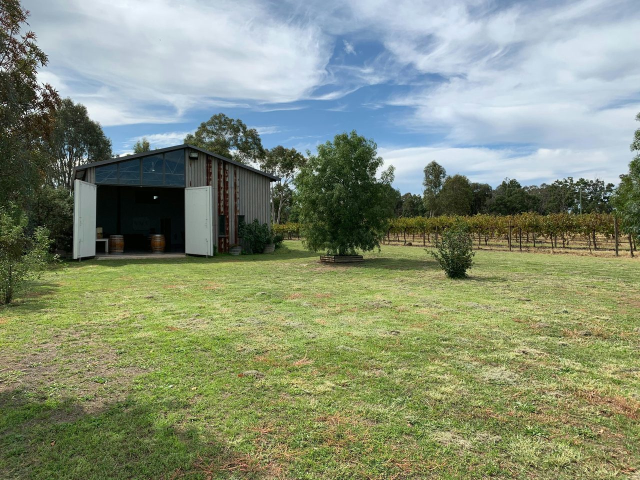 Cellar Door with the doors open & grounds at McIntosh Estate in Mudgee NSW