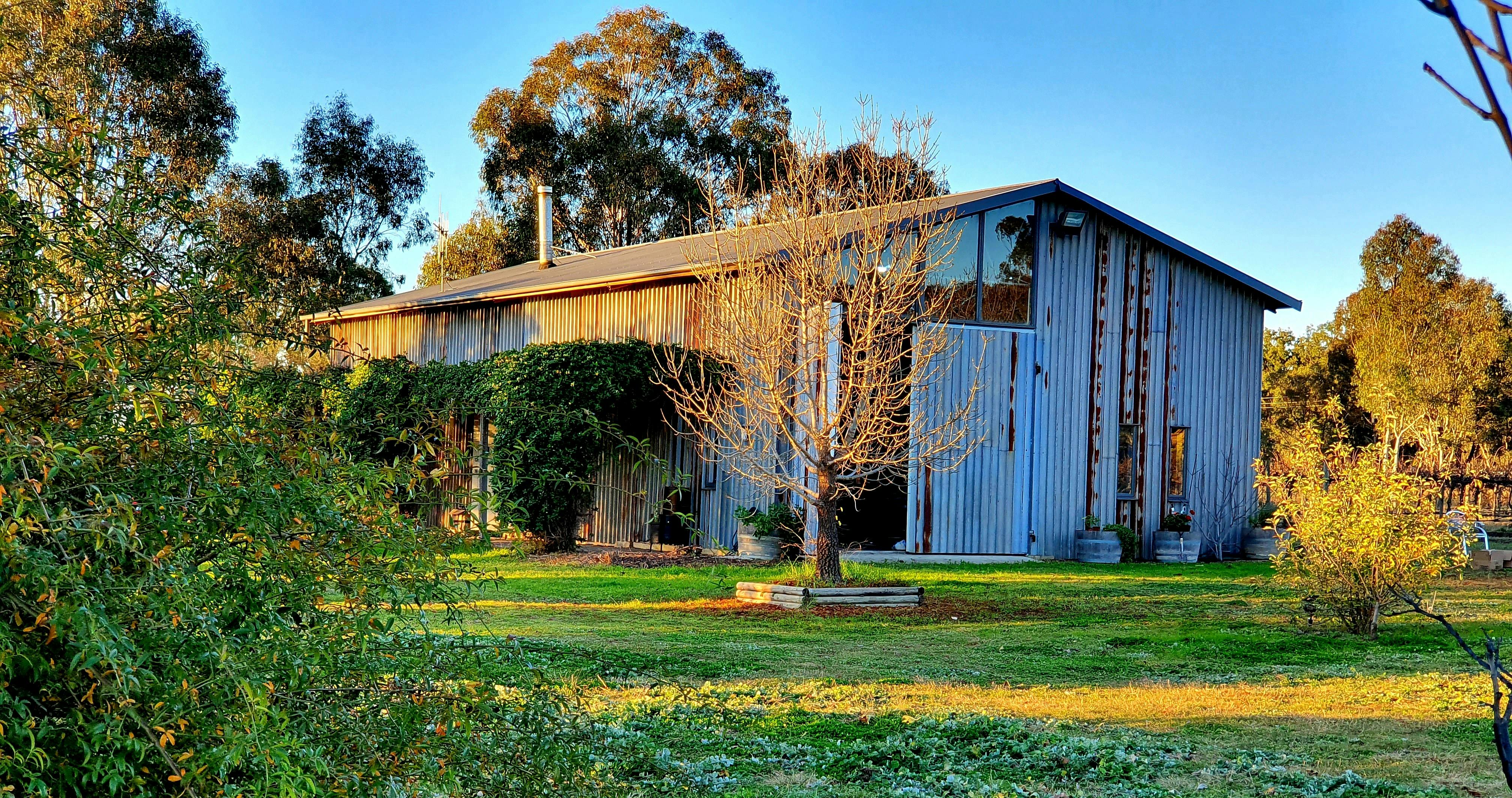 The rustic cellar door shed at McIntosh Estate in Mudgee NSW.  The doors partially closed.
