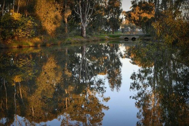 Blake Botanic Reserve