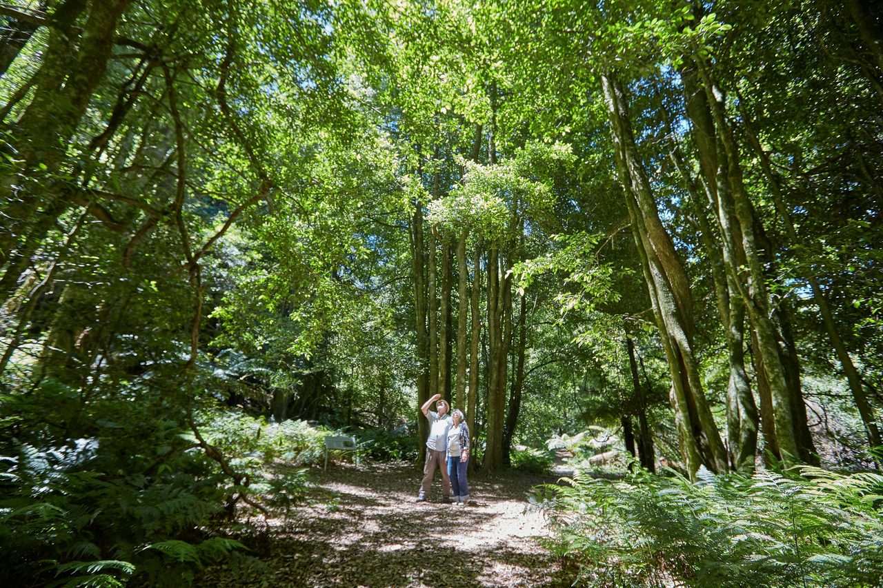 More than your expected Botanic Garden we have incredible natural spaces
