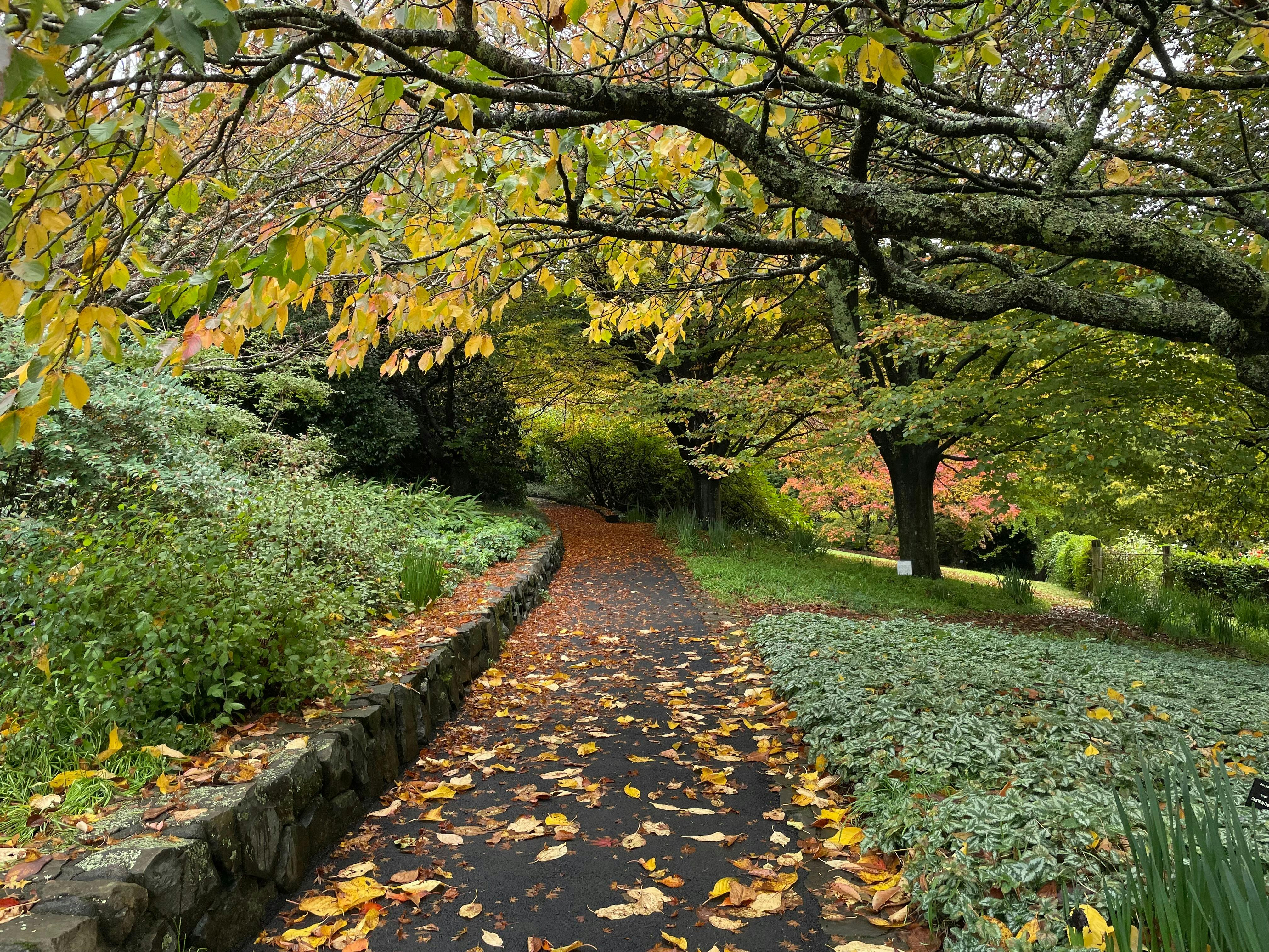 Autumn in the Residence Garden
