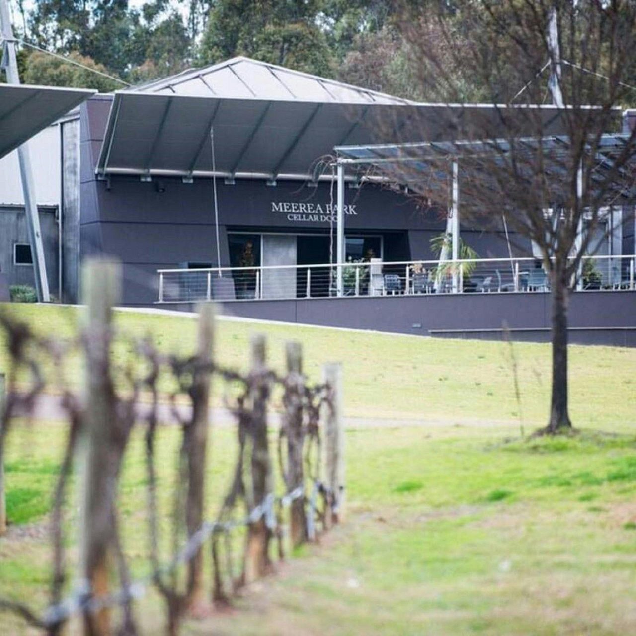 Cellar Door