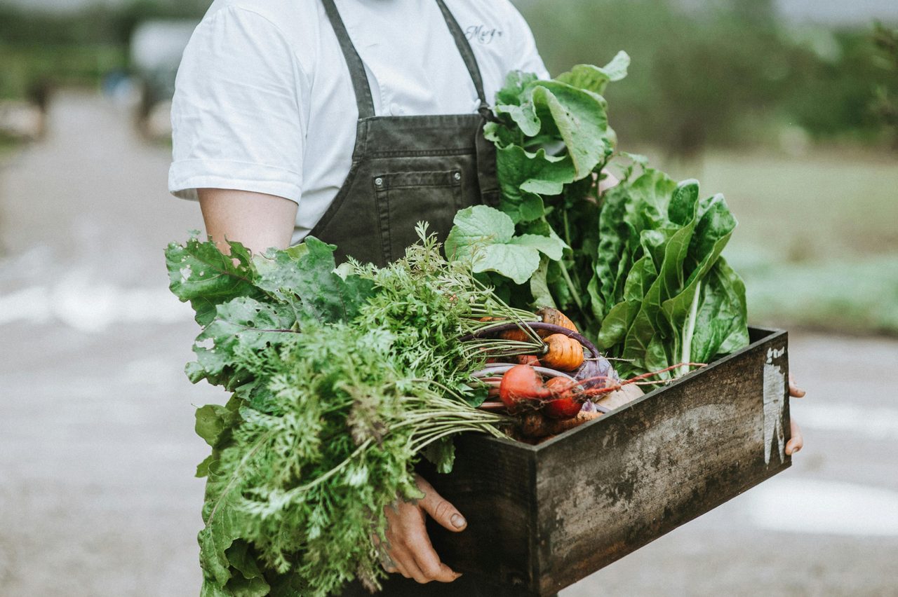 Margan chef with basket of our organically grown garden produce
