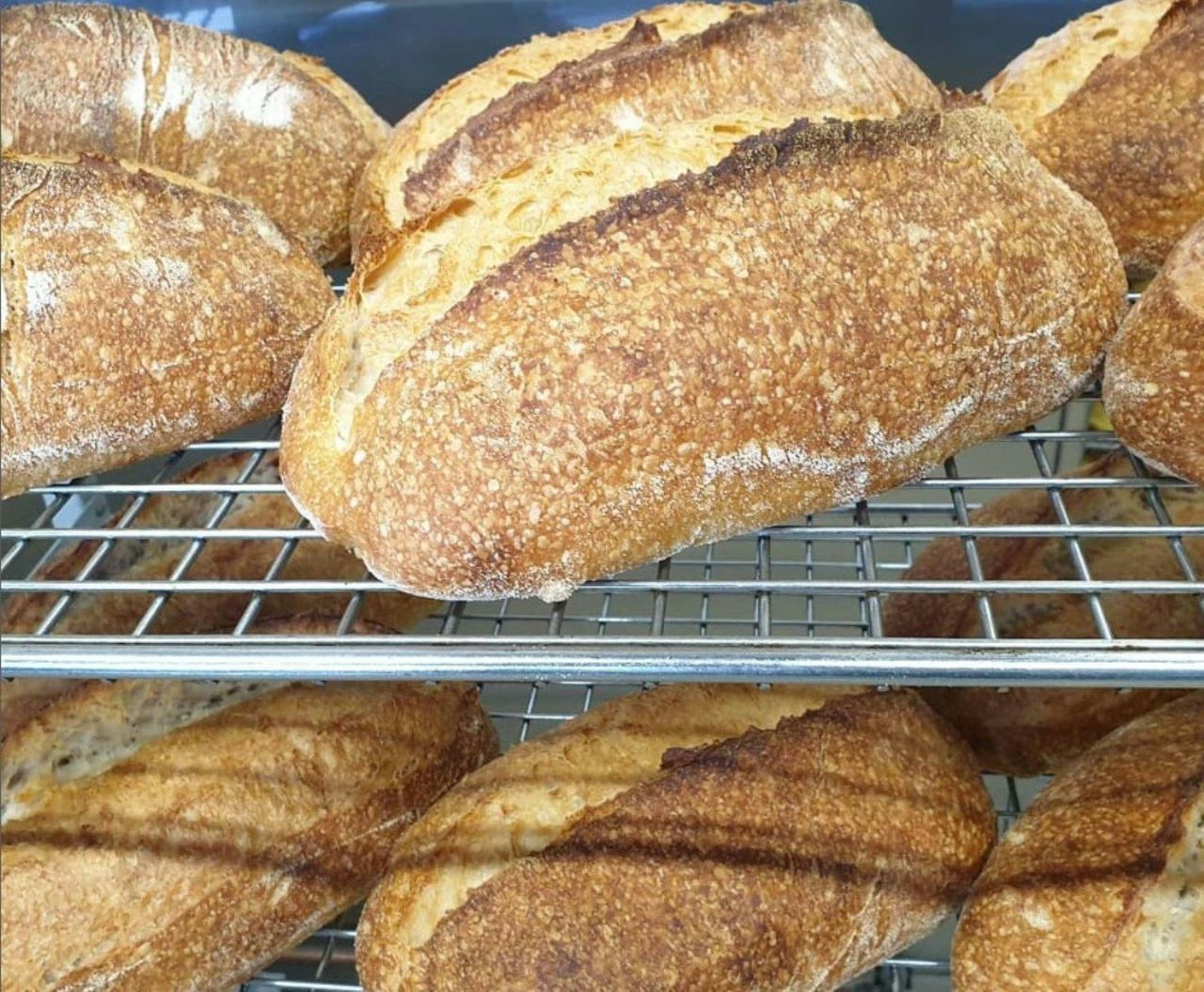 Martins Bakery