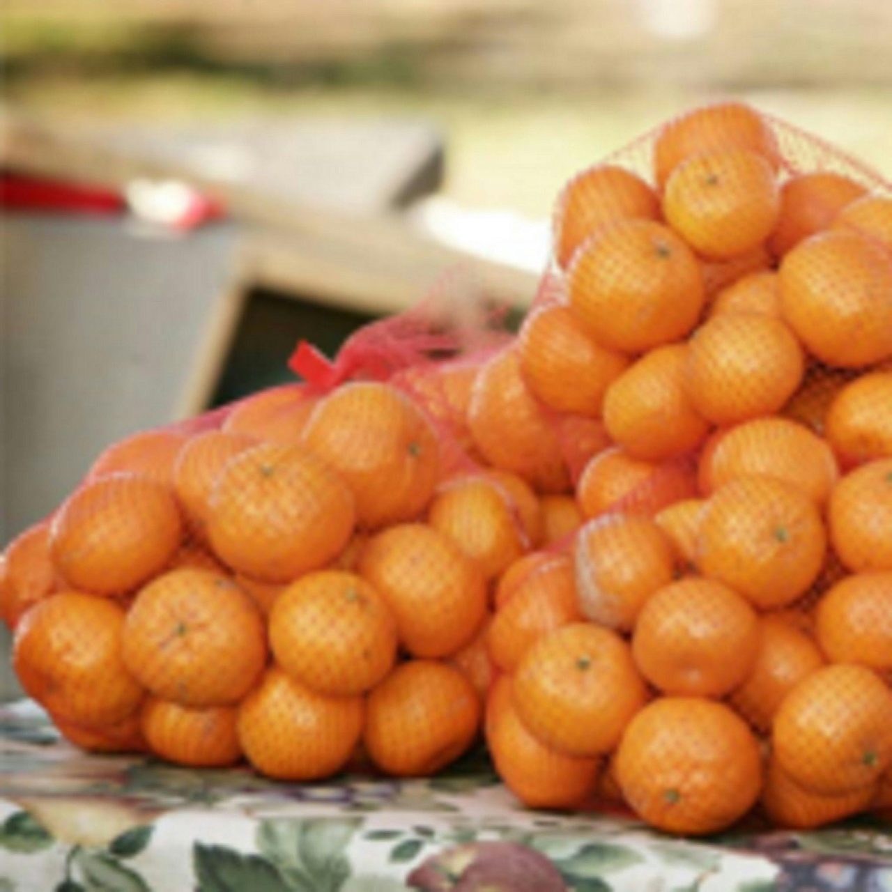 mathoura mandarins