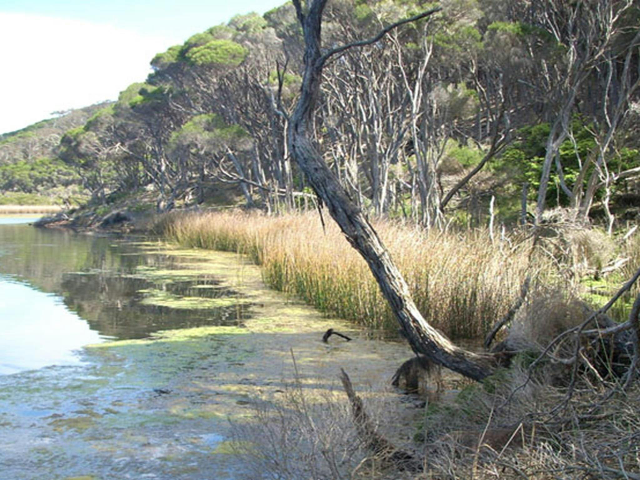 Bournda Lagoon