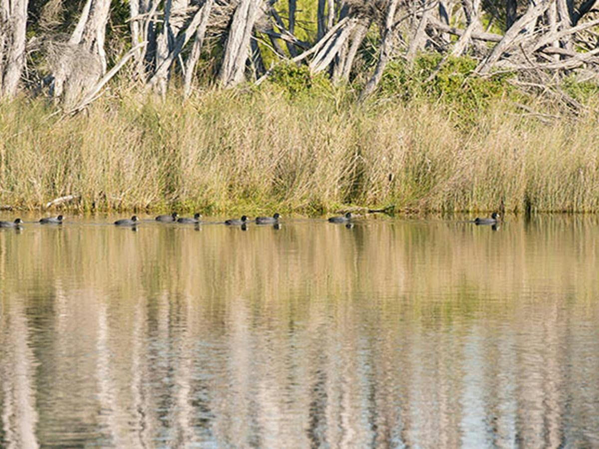 Bournda Lagoon
