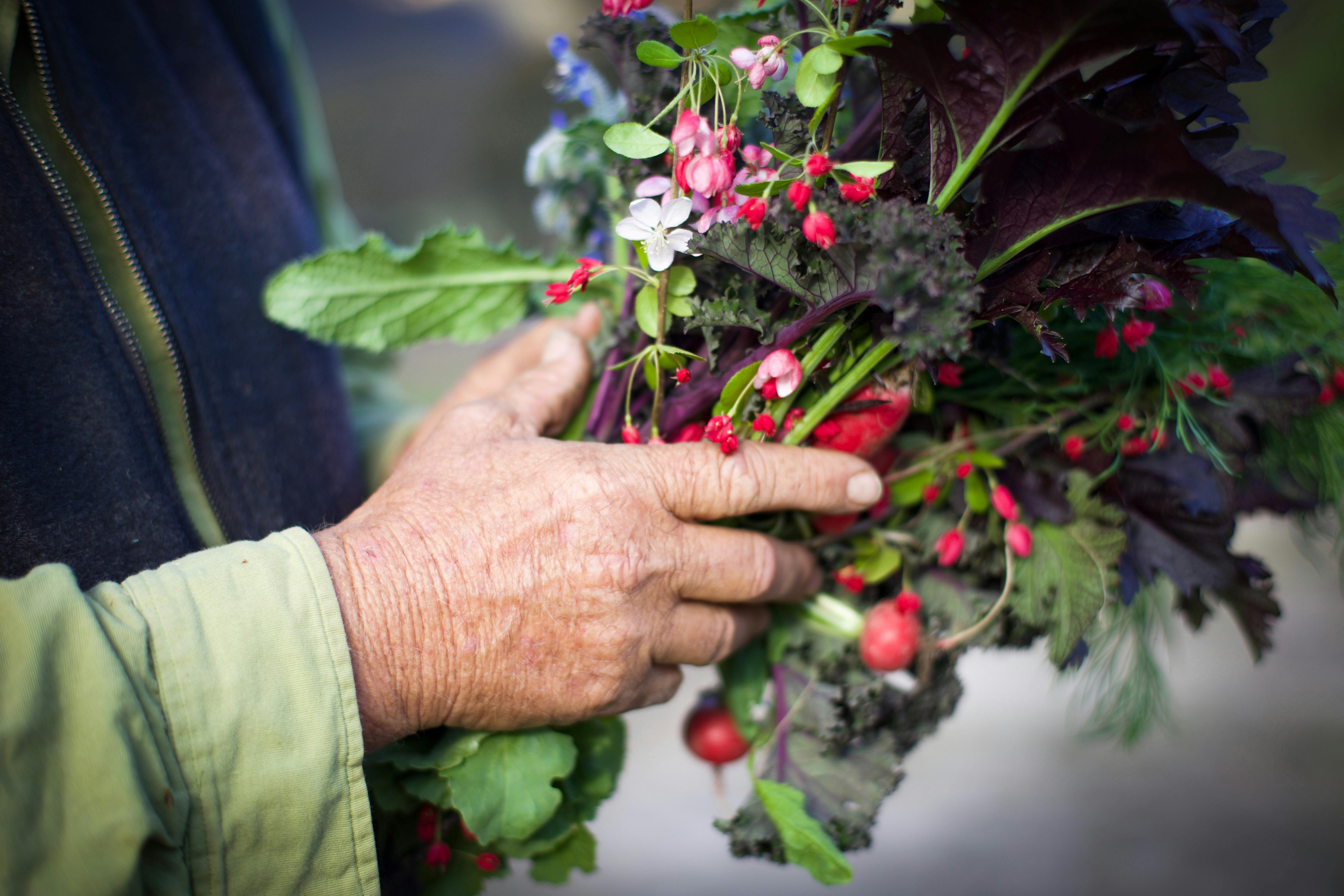 We serve organically grown  vegetables from our farm