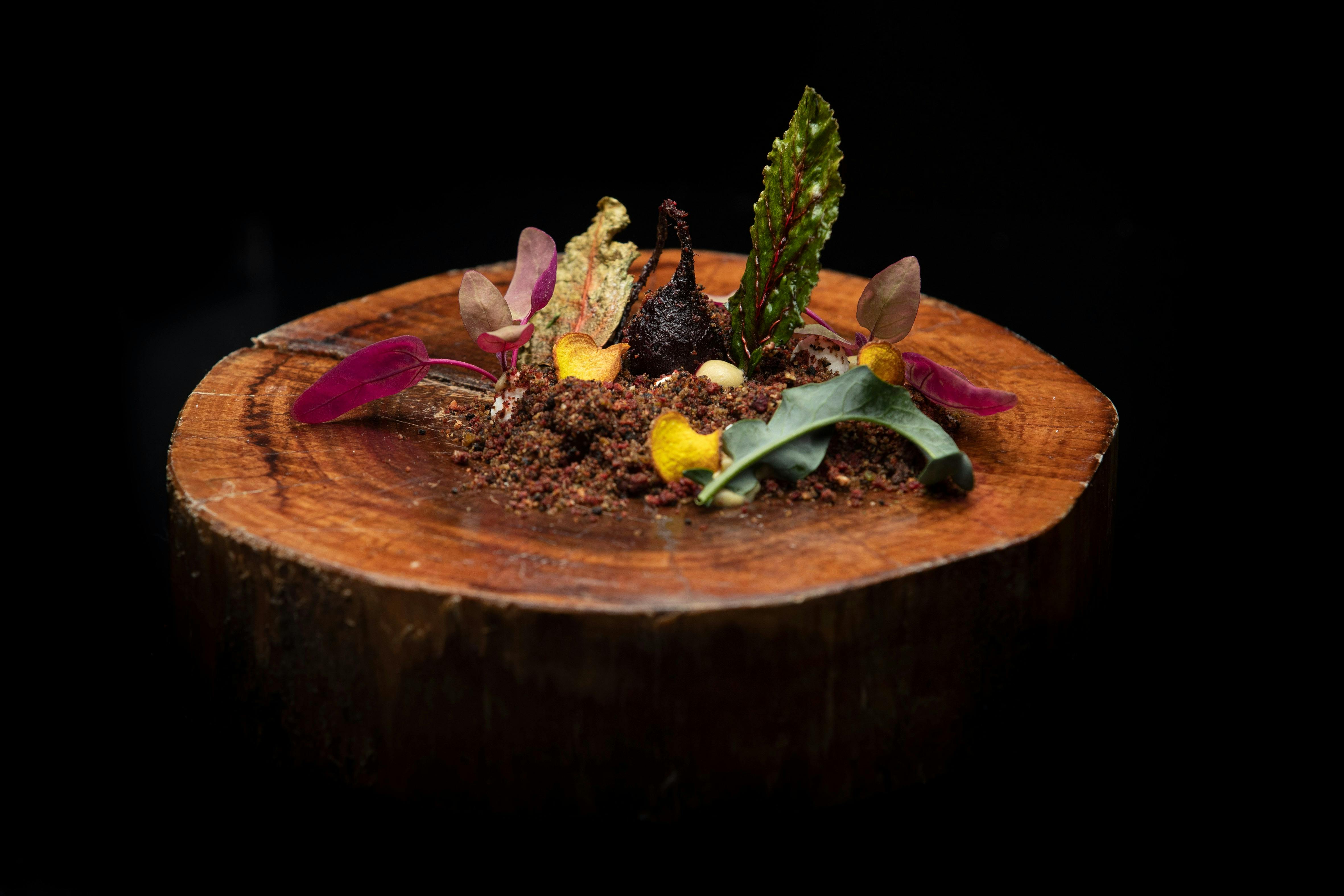 Peter Rabbit's Garden NEL restaurant