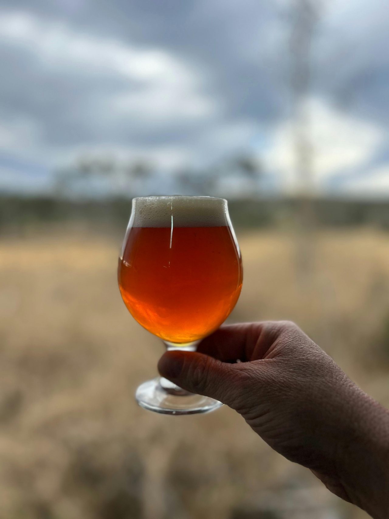Award winning beer