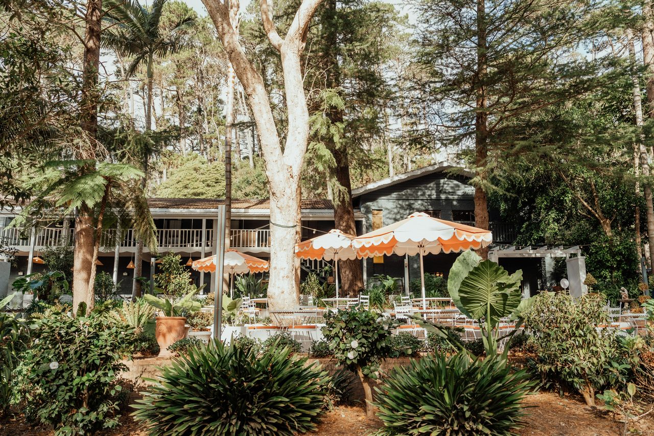 The Champagne Garden, nestled in the rainforest