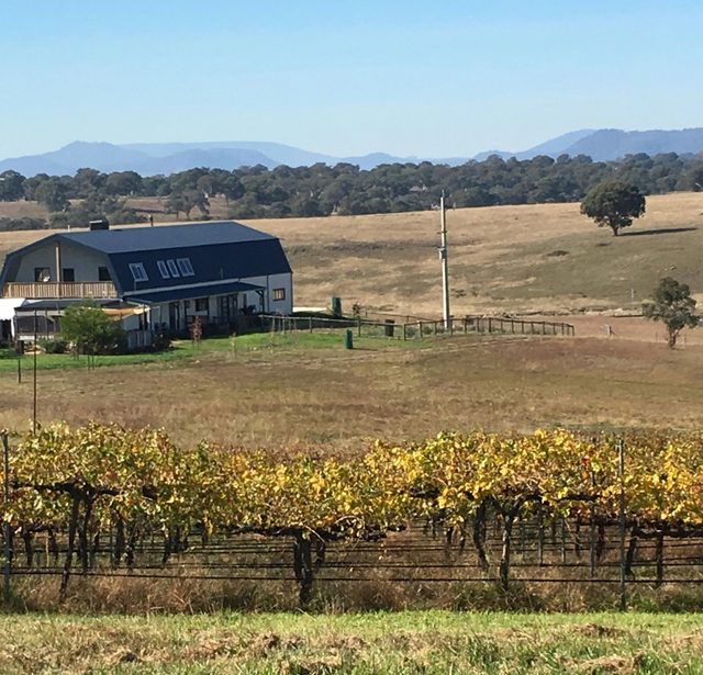 Naked Lady Wines