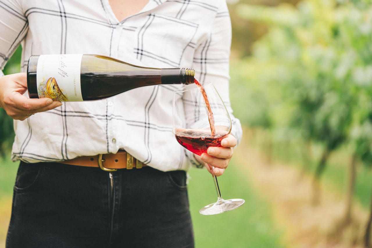 Taste wines near the vines