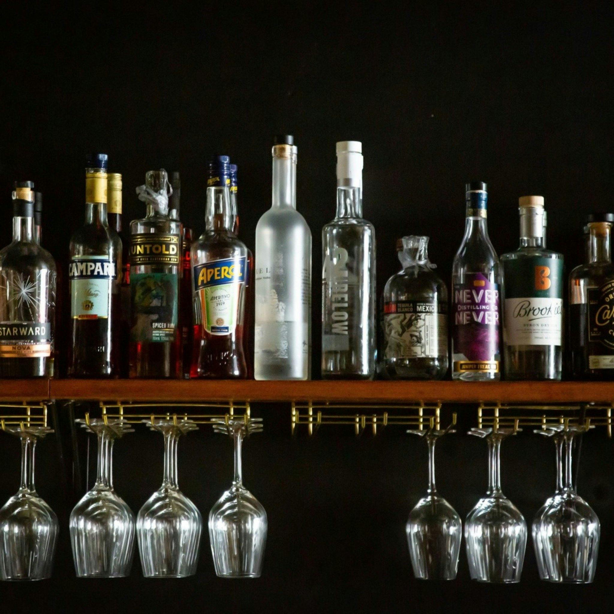 Night Parrot Wollongong