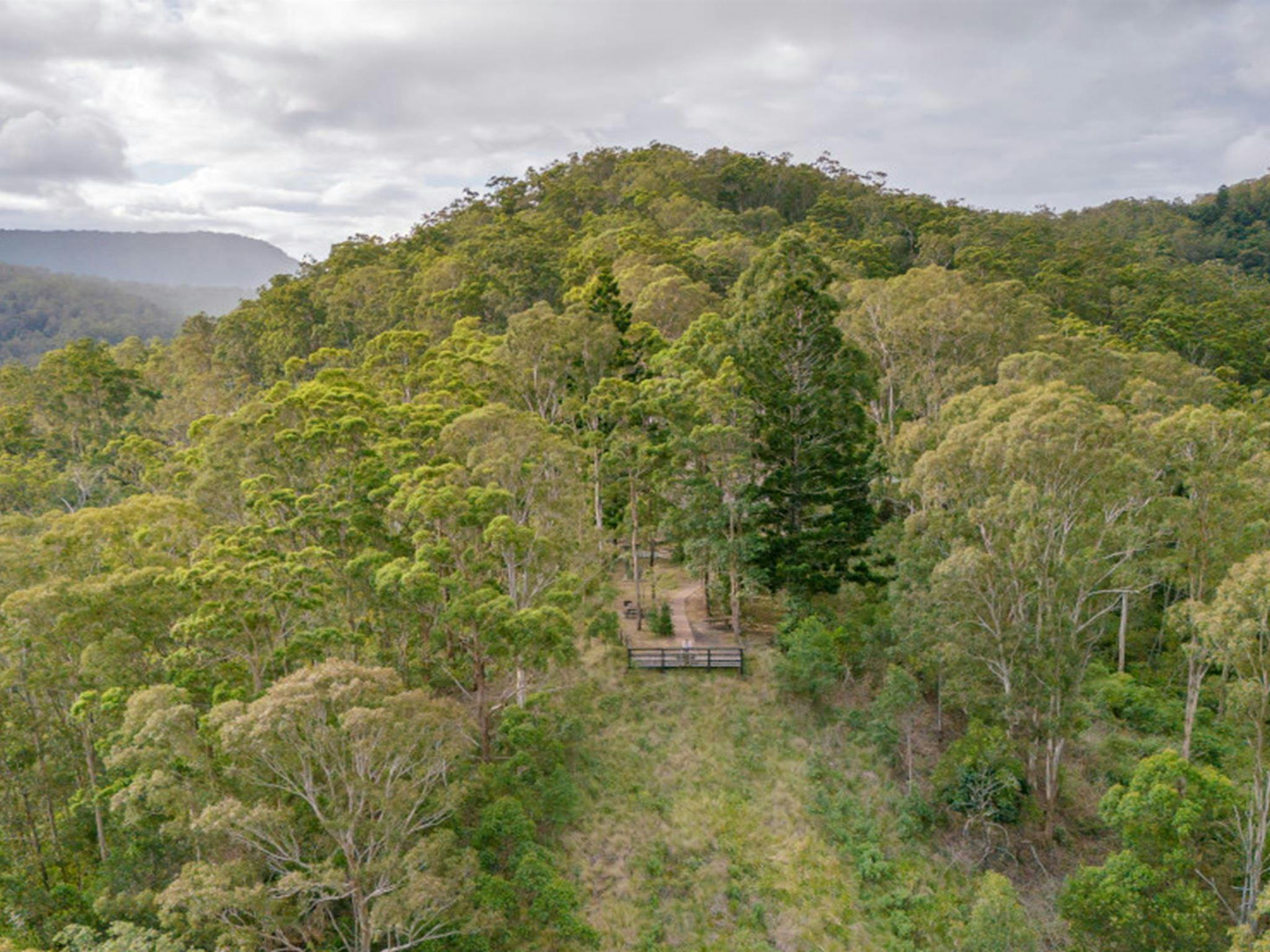 Aerial view of Border Loop lookout in Border Ranges National Park. Credit: John Spencer &copy; DPE