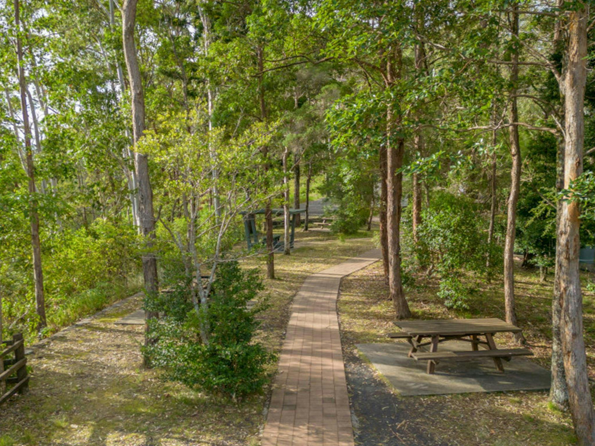 Picnic tables at Border Loop lookout and picnic area. Credit: John Spencer &copy; DPE