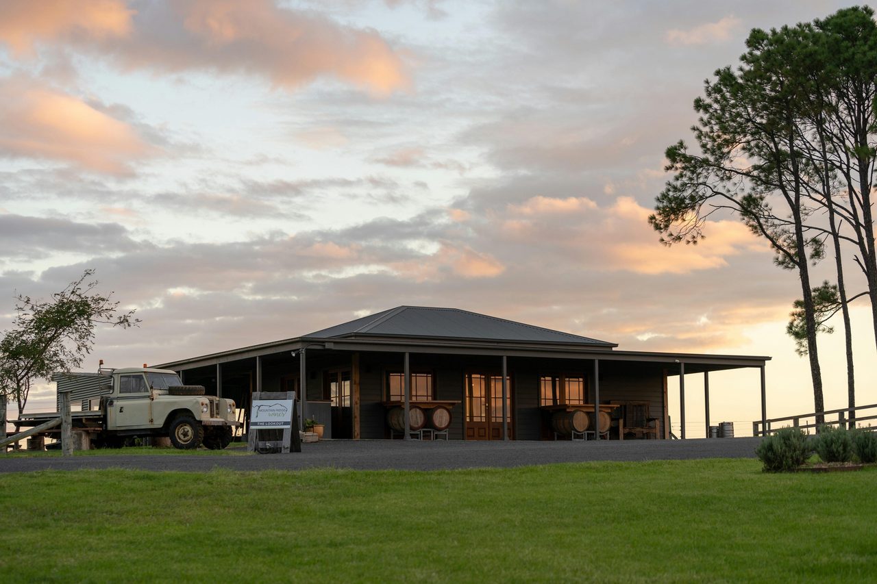 The Lookout