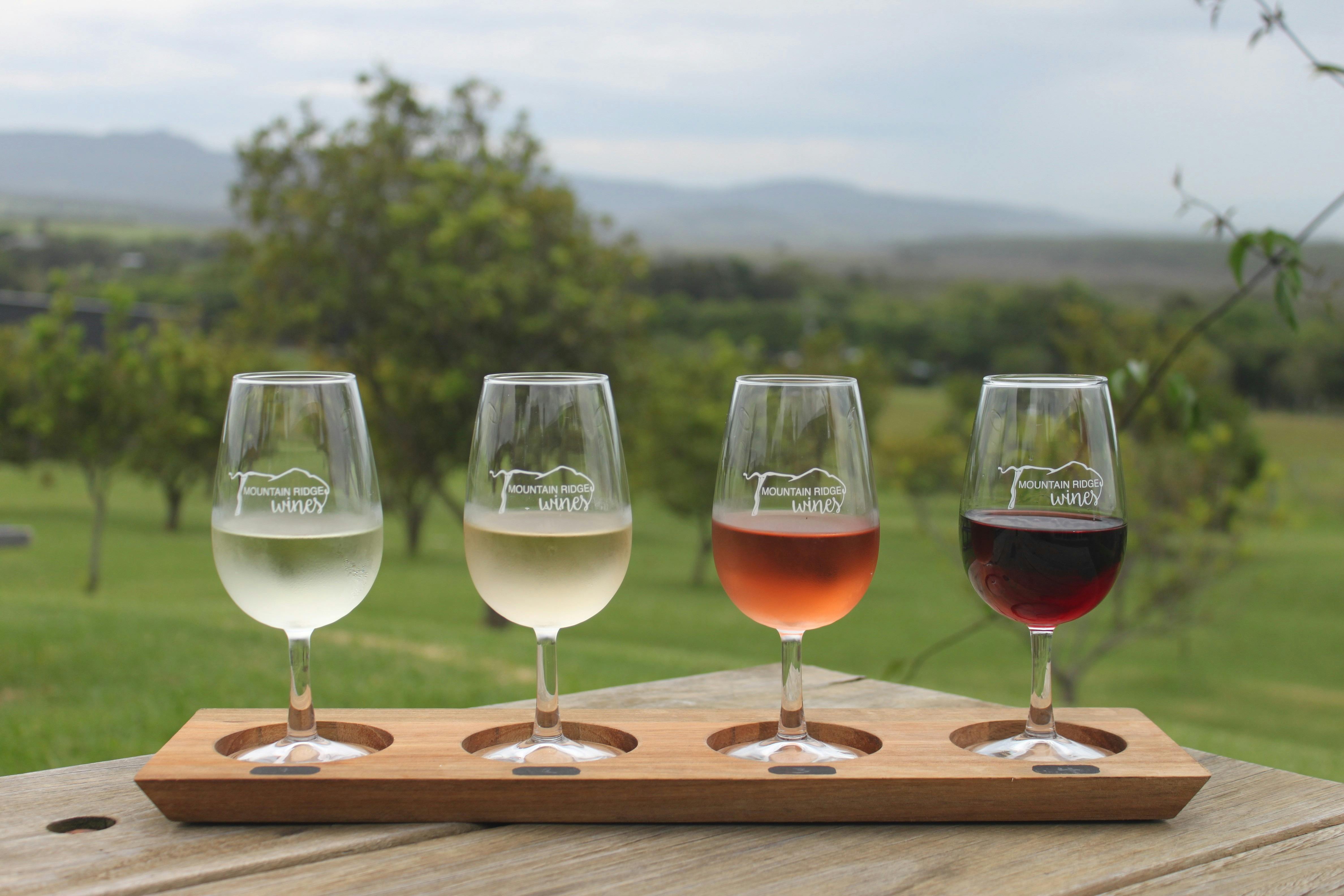 Wine Paddle