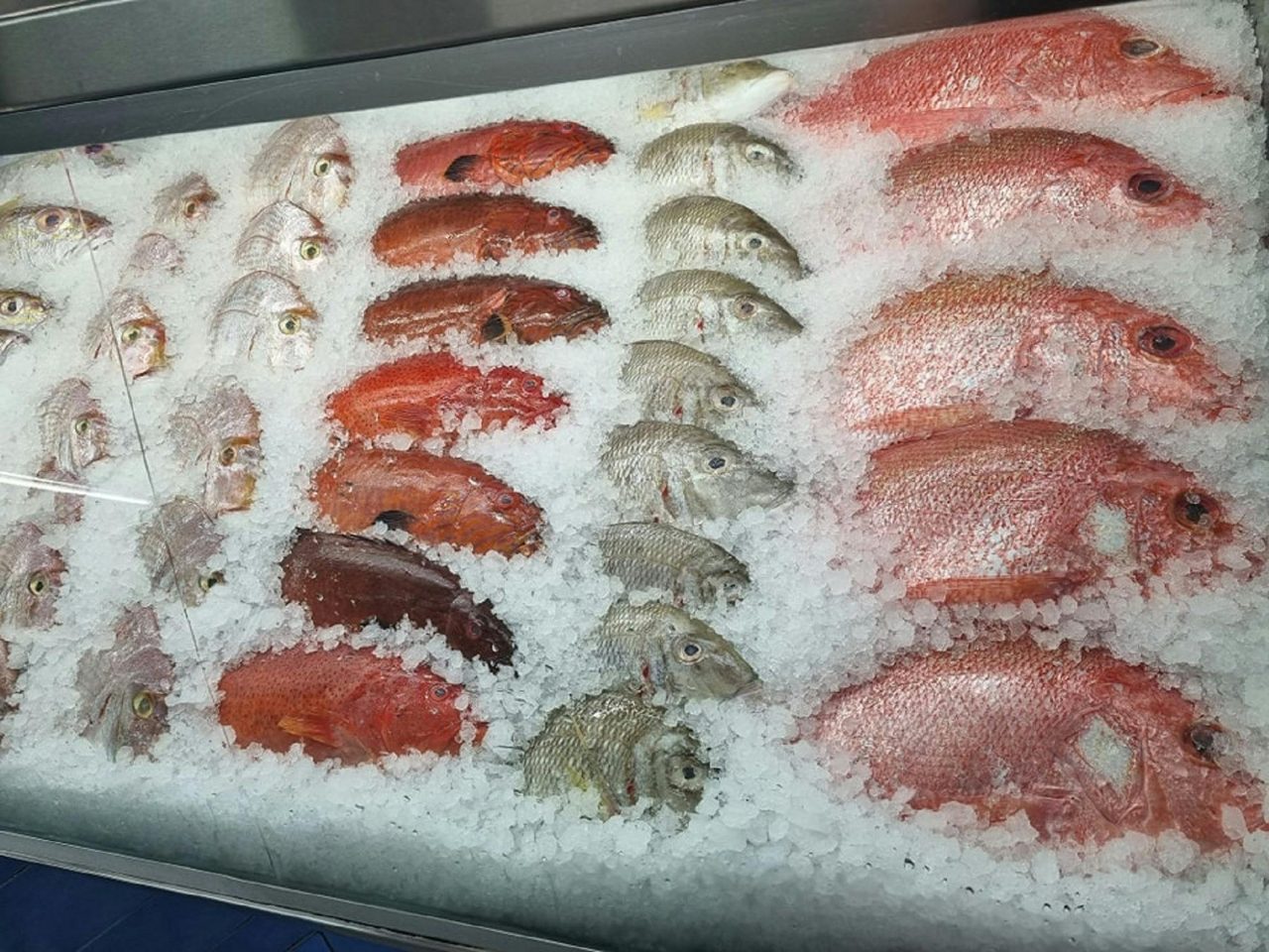 Raw fish