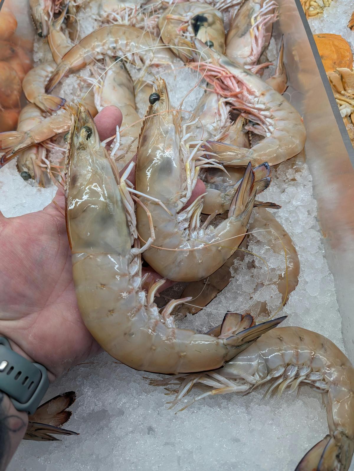 Yamba King Prawns