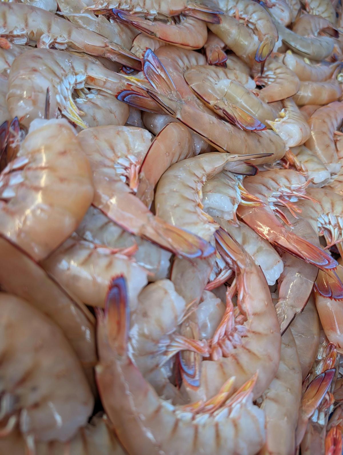 Headless Green Yamba King Prawns