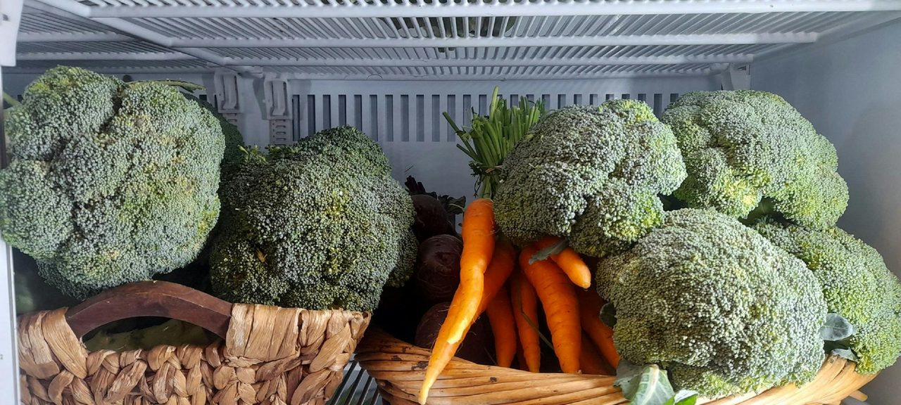 Fresh vegetables