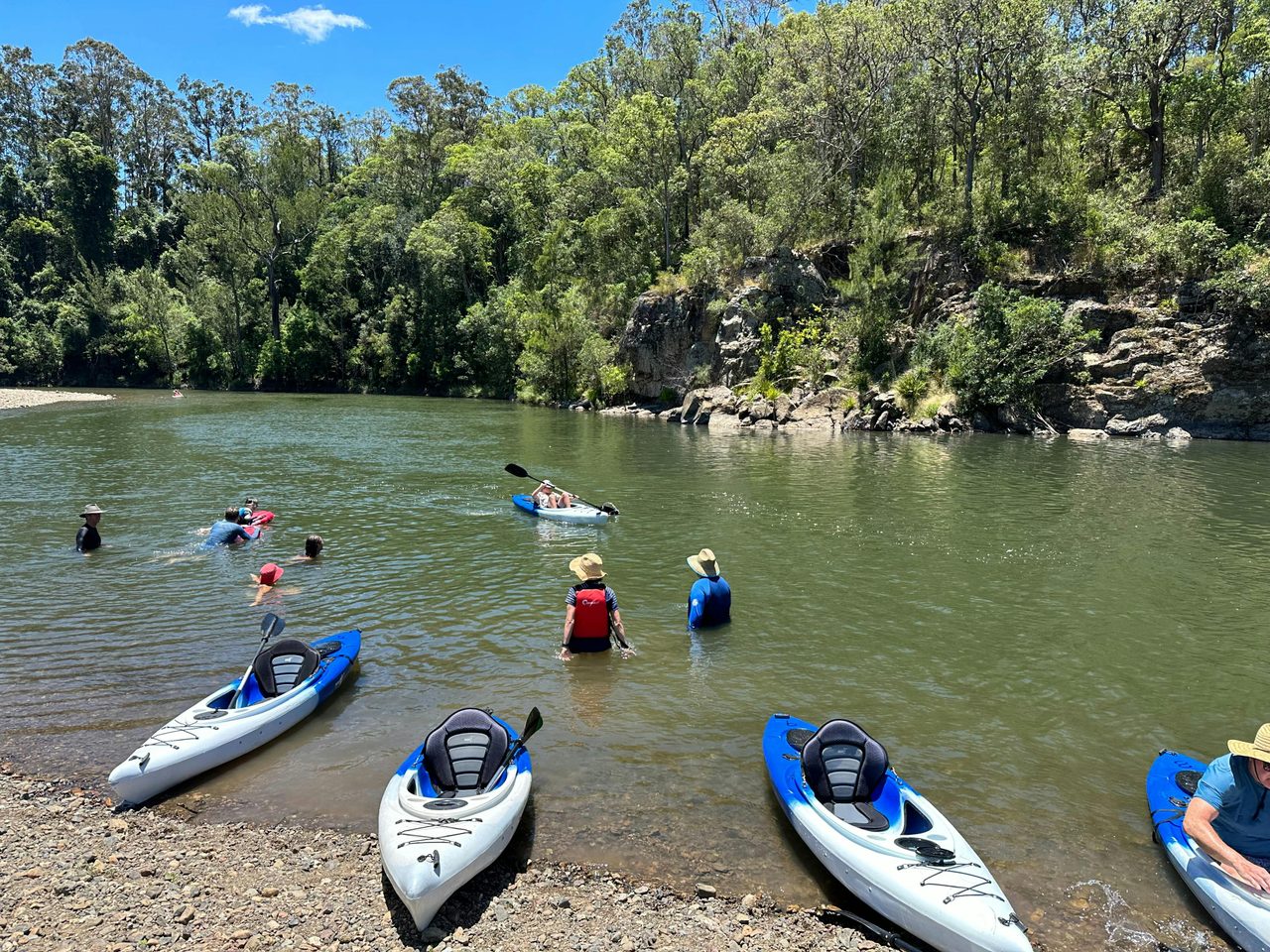 Kayaks on the Hastings River