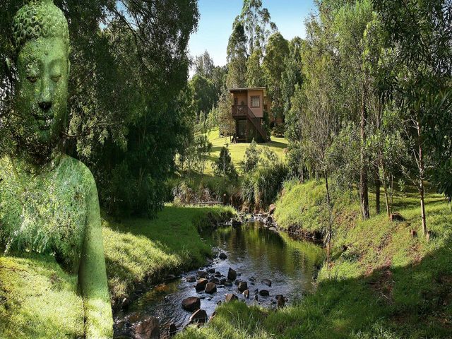 Bodhi Tree Forest Monastery and Retreat Centre