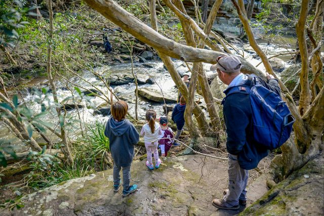 Bomaderry Creek Walking Track