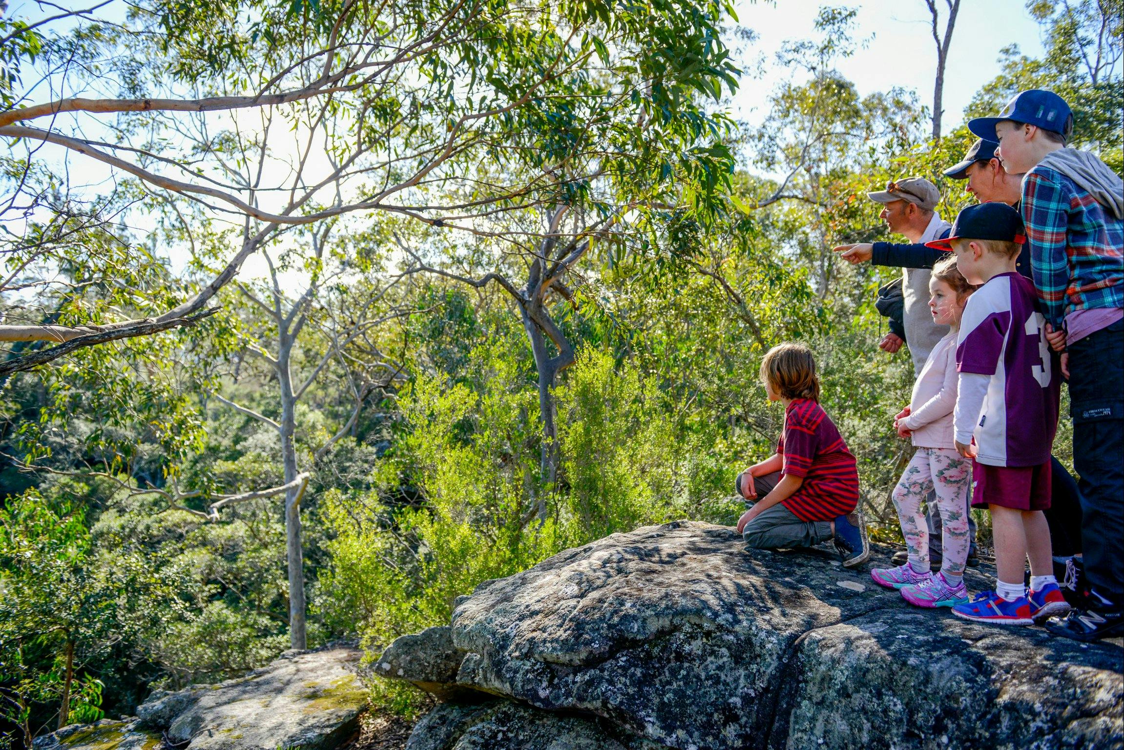 Bomaderry Creek Bushwalk