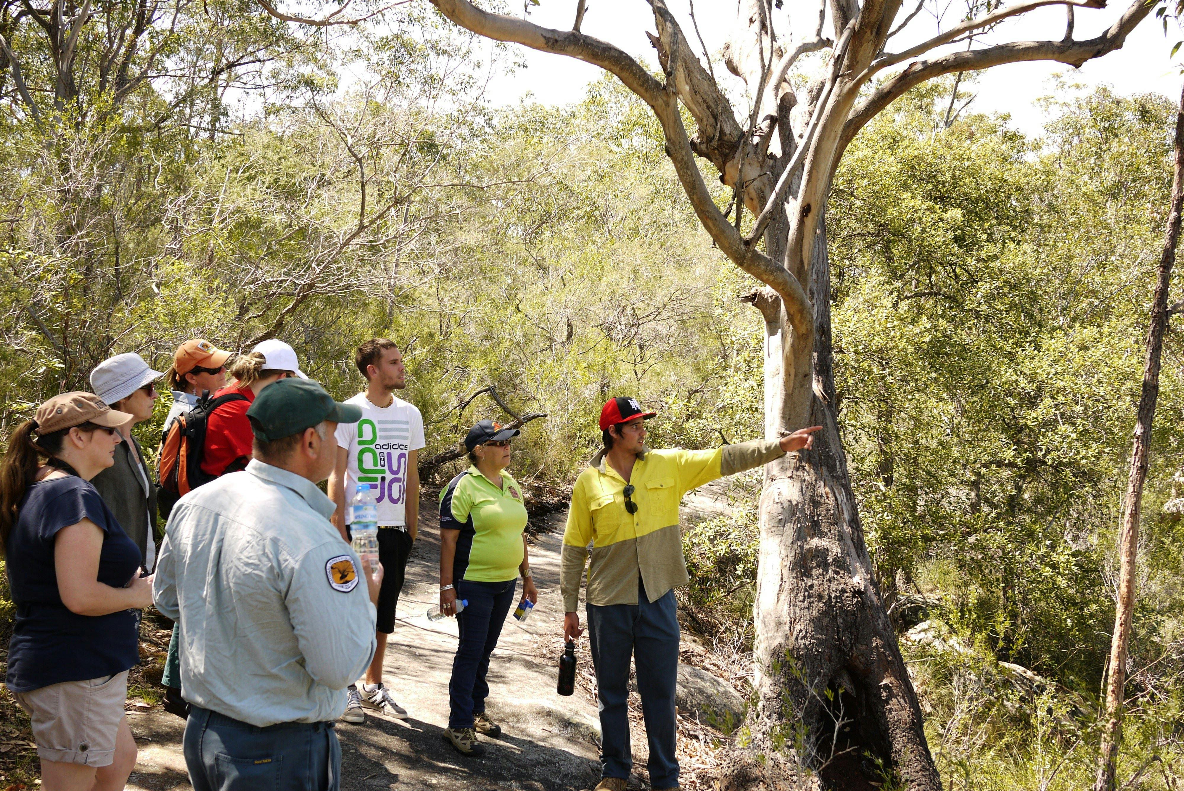 Bomaderry Creek Walk NPWS Discovery Tour